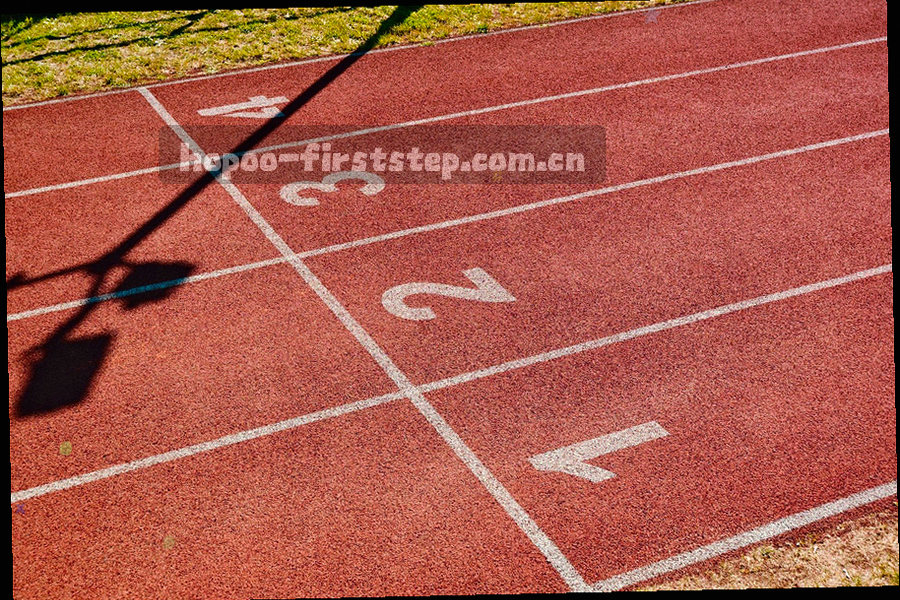 四个上手节点的技能树示意，依次为确认设备、定位主导航、进入订阅或权益区、保存书签